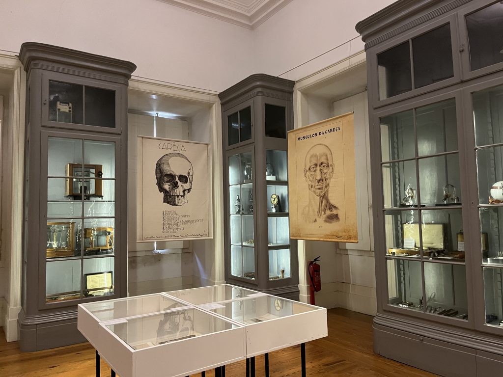 Photo of exhibition space in a natural history museum. Glass cases with microscopes and specimens. Hanging images of a skull and anatomical drawings.